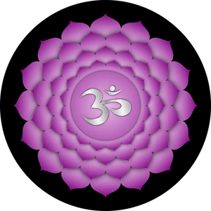 chakra 7 7 chakra corona