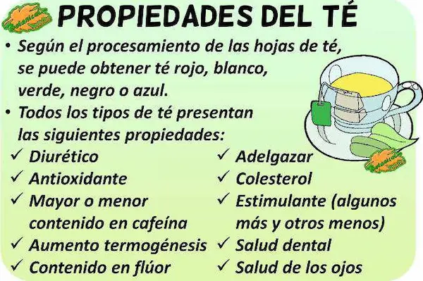 Propiedades del té